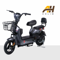 Xe Đạp Điện Cho Mẹ Và Bé NewBeer