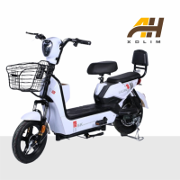 Xe Điện Nhỏ Gọn SK8 A Hìu